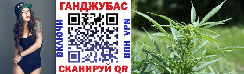  COCAIN Всеволожск