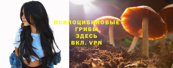 экстази Верхний Тагил