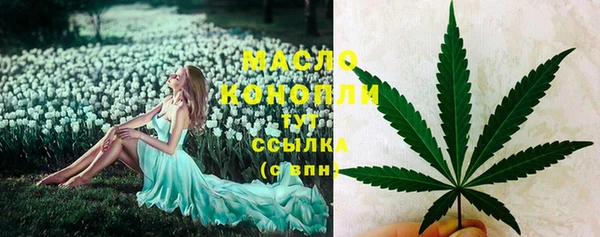мдпв Верея