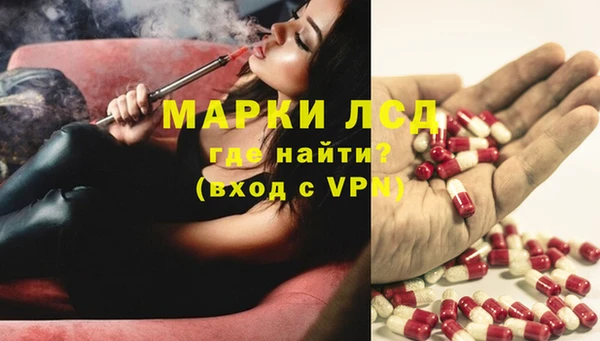мдпв Верея