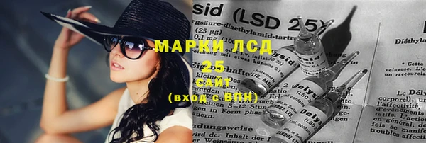 мдпв Верея