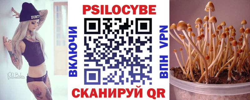 Галлюциногенные грибы Magic Shrooms  маркетплейс наркотические препараты  Всеволожск 